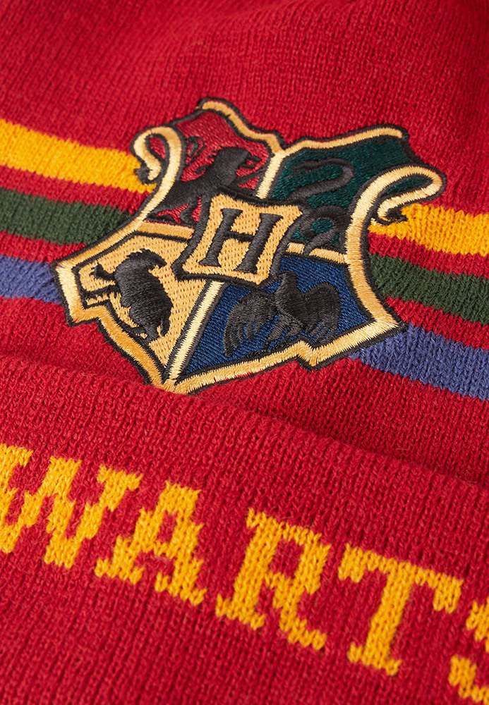 Mütze im Harry-Potter-Design